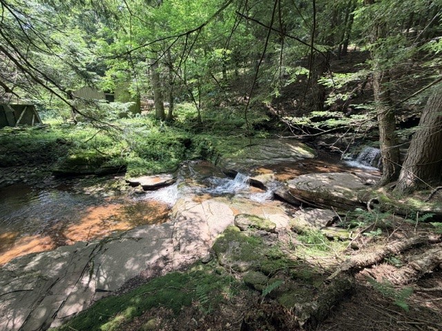 Lot 35 Webster Brook Road Bloomville, NY 13739 - Photo 14 of 42