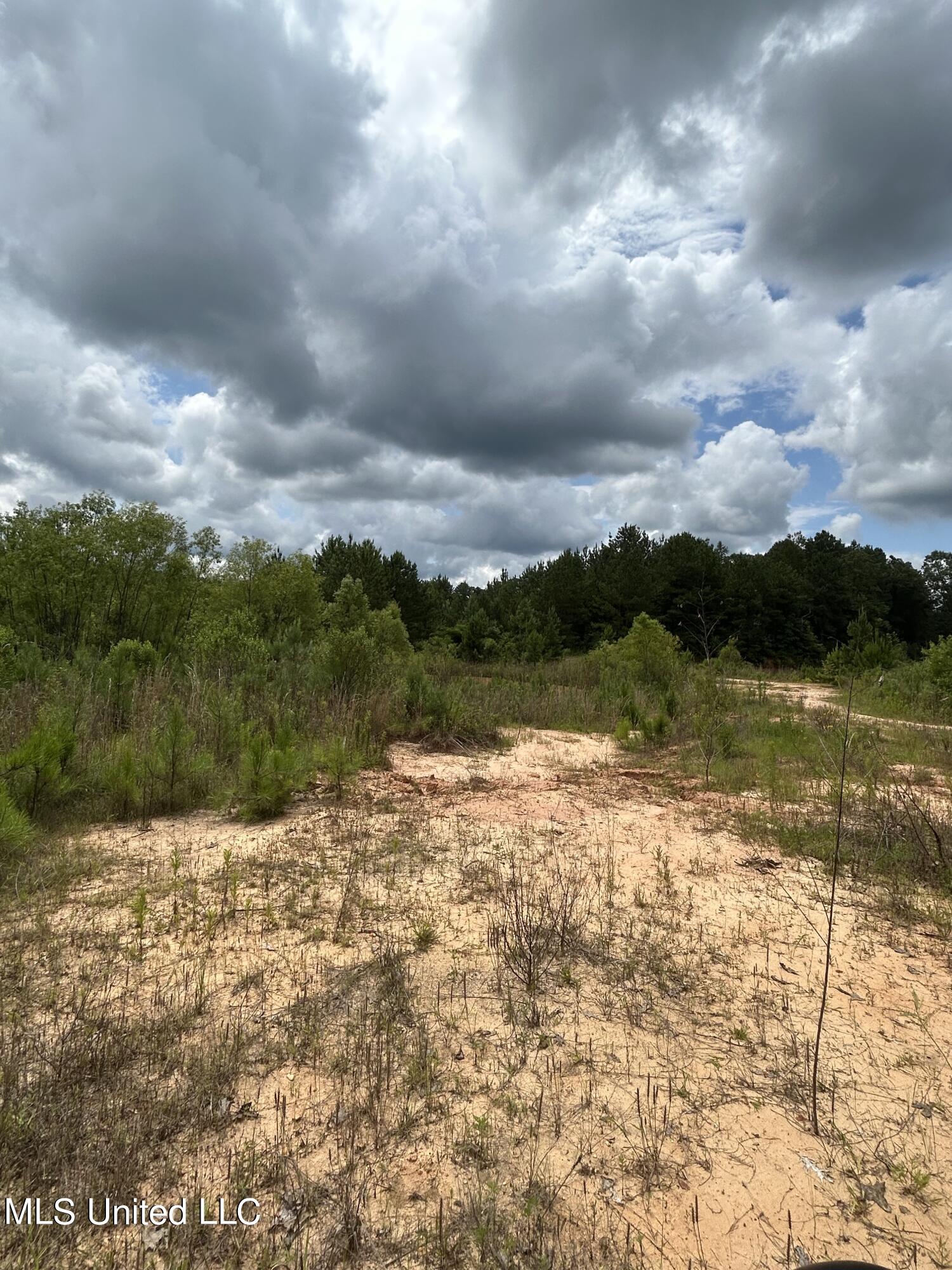916 White Road Florence, MS 39073 - Photo 7 of 14 White Rd 8