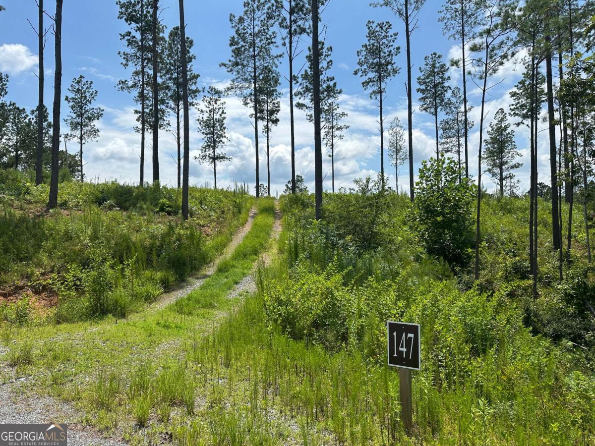 Lot 147 Creekside Crossing Talking Rock, GA 30175 - Photo 1 of 49 a view of a street with a building in front of it