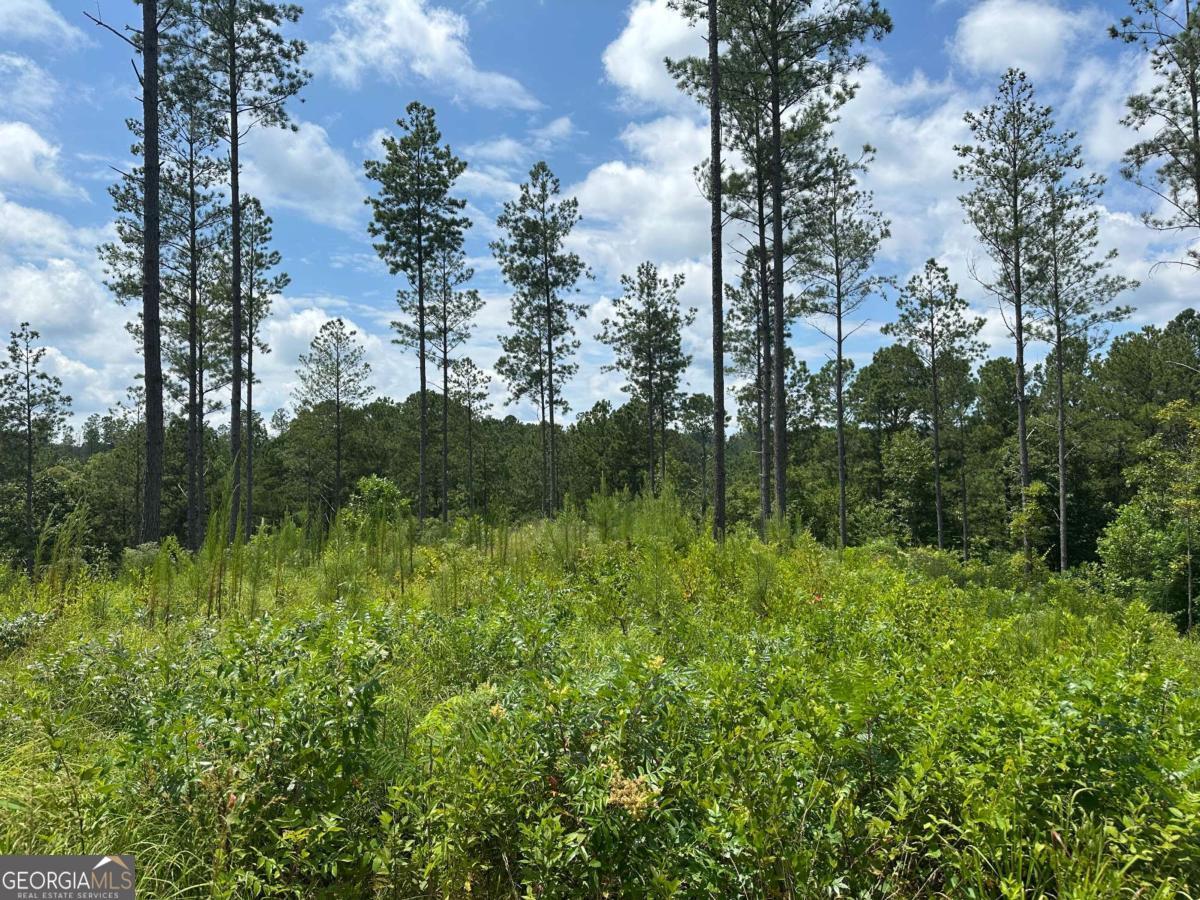 Lot 147 Creekside Crossing Talking Rock, GA 30175 - Photo 11 of 49 a view of a garden