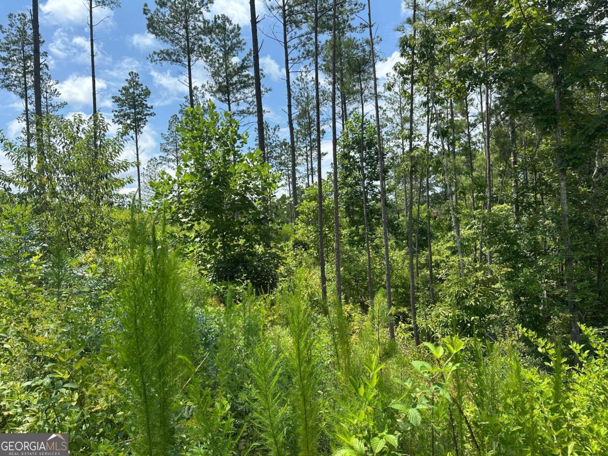 Lot 147 Creekside Crossing Talking Rock, GA 30175 - Photo 12 of 49 a view of a garden
