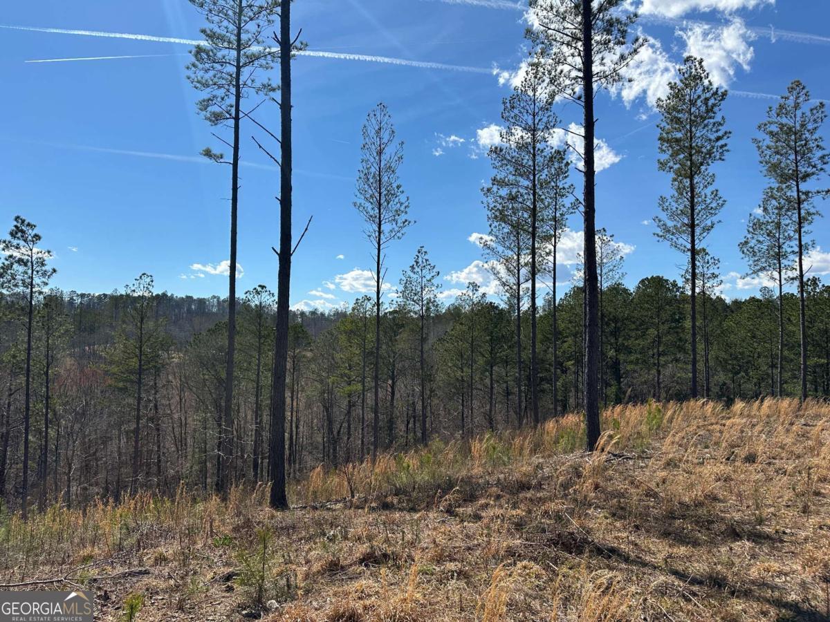 Lot 147 Creekside Crossing Talking Rock, GA 30175 - Photo 13 of 49 a view of a forest