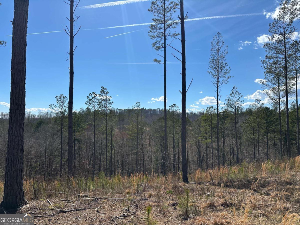 Lot 147 Creekside Crossing Talking Rock, GA 30175 - Photo 14 of 49 a view of a house with a yard
