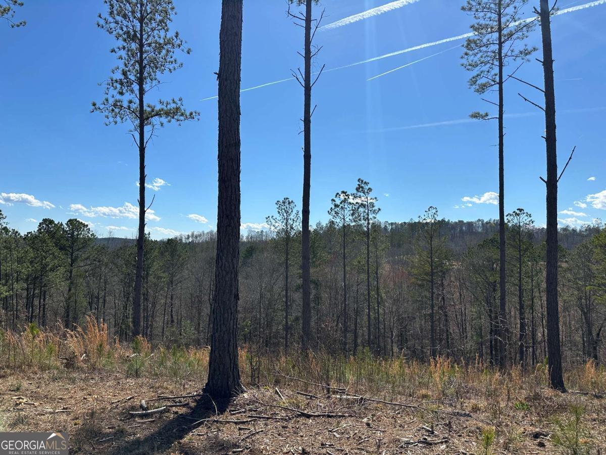 Lot 147 Creekside Crossing Talking Rock, GA 30175 - Photo 15 of 49 a view of a balcony with a tree