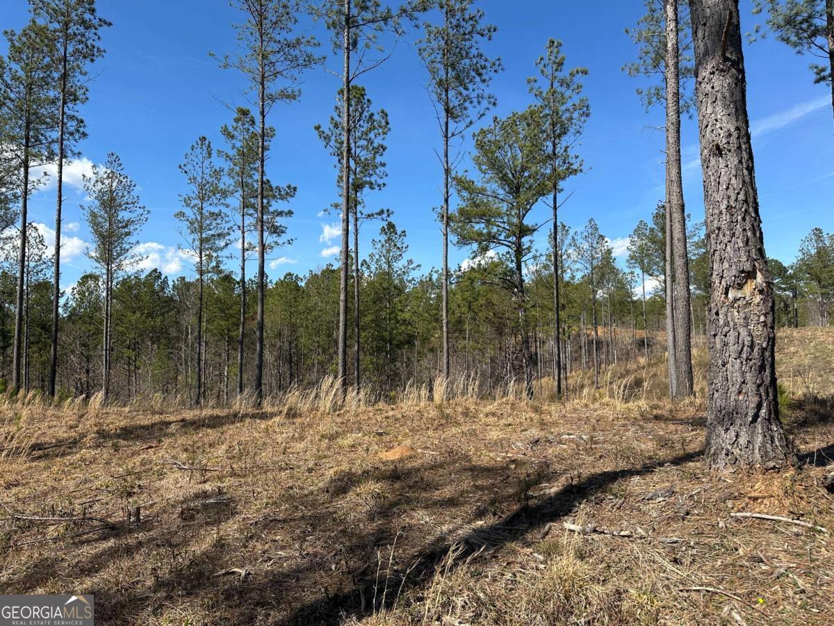 Lot 147 Creekside Crossing Talking Rock, GA 30175 - Photo 17 of 49 a view of lake with a yard