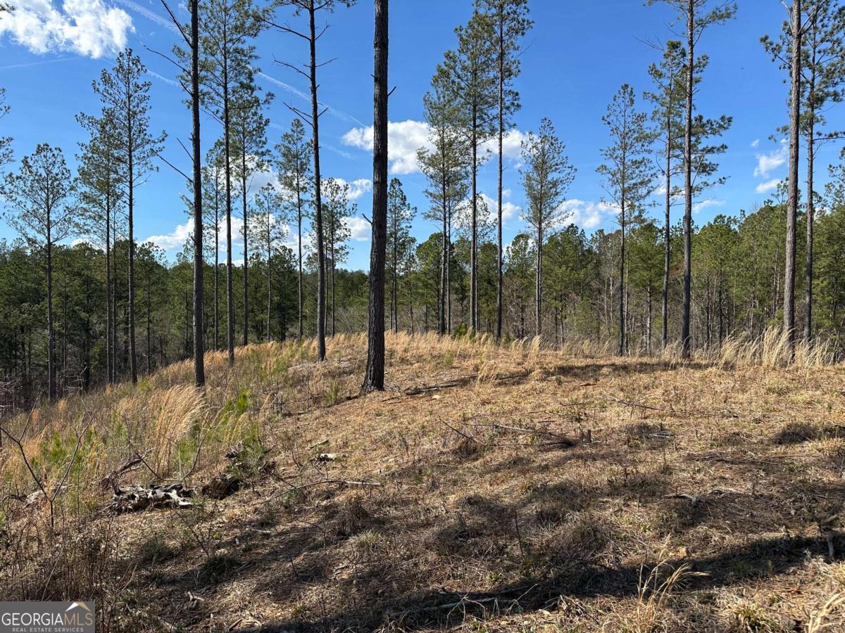 Lot 147 Creekside Crossing Talking Rock, GA 30175 - Photo 18 of 49 a view of a forest