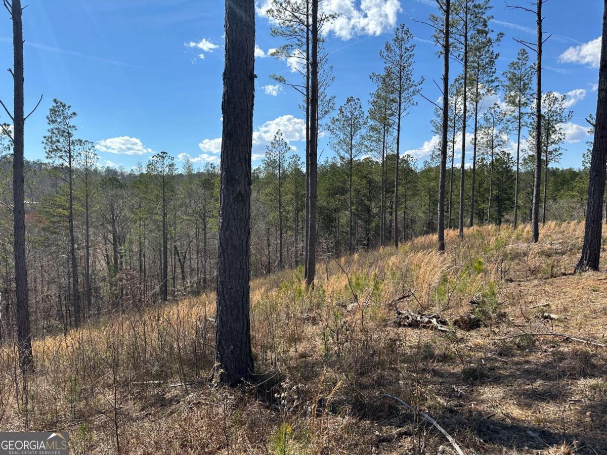Lot 147 Creekside Crossing Talking Rock, GA 30175 - Photo 19 of 49 a view of outdoor space with trees