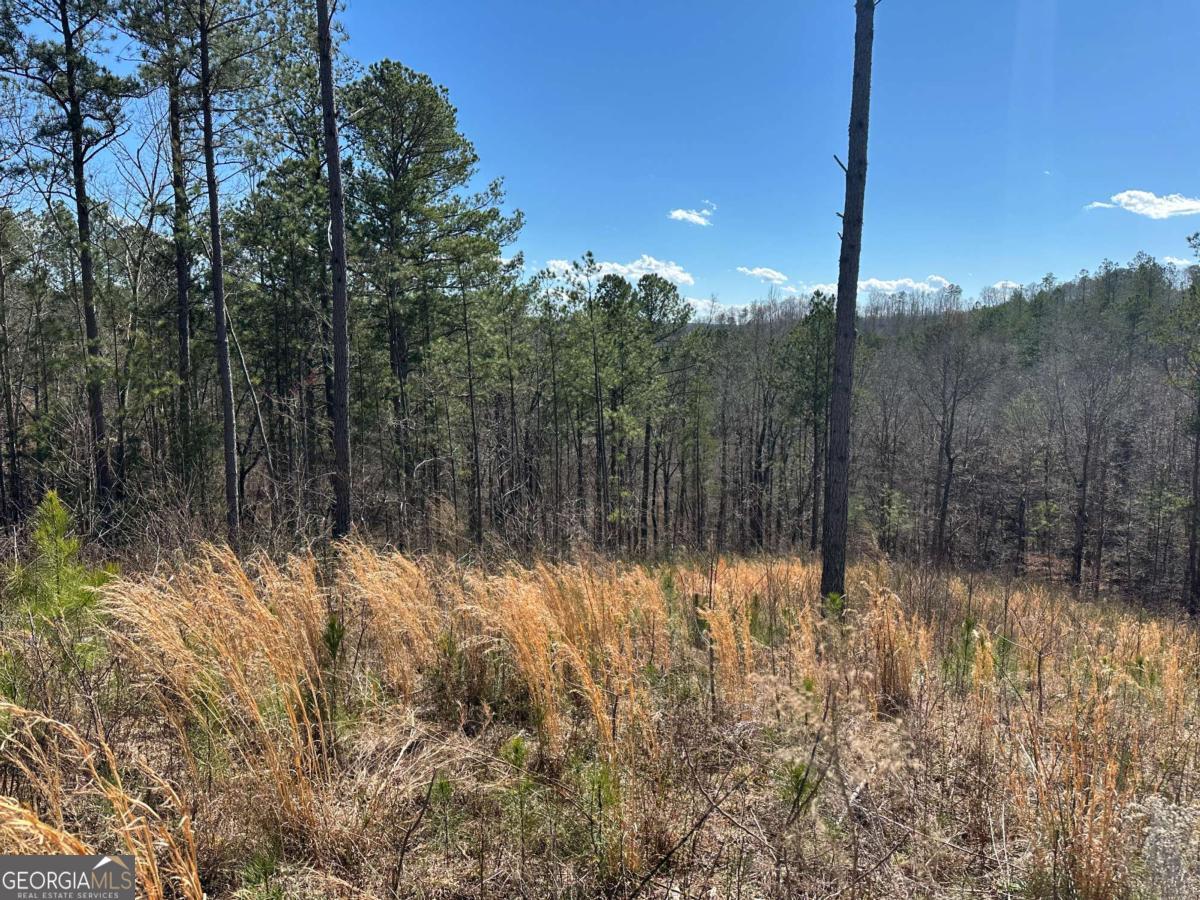 Lot 147 Creekside Crossing Talking Rock, GA 30175 - Photo 21 of 49 a view of a yard with a tree