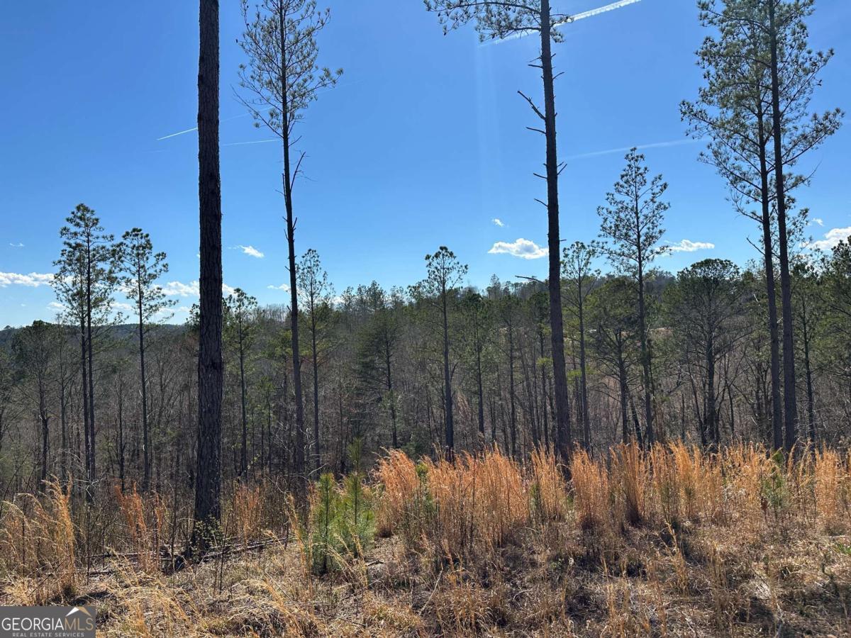 Lot 147 Creekside Crossing Talking Rock, GA 30175 - Photo 24 of 49 a view of a backyard of a house with a fountain