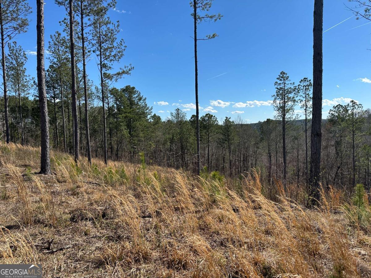 Lot 147 Creekside Crossing Talking Rock, GA 30175 - Photo 25 of 49 a view of a backyard of a house
