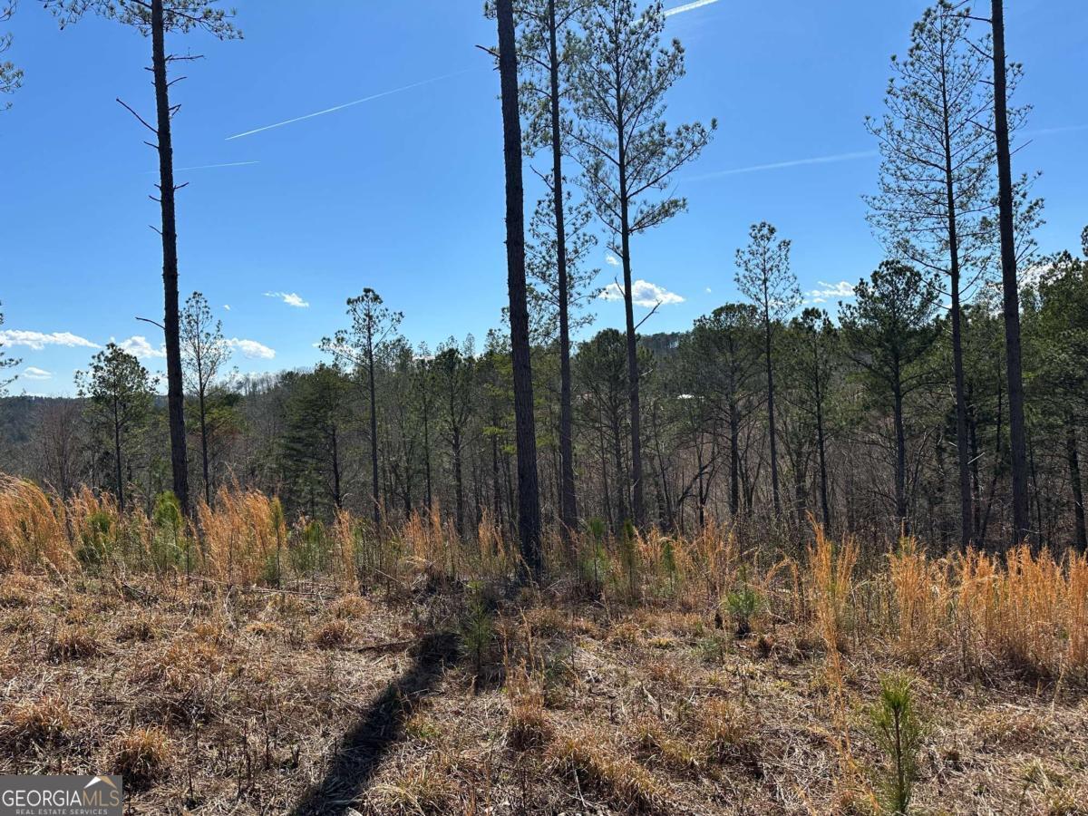 Lot 147 Creekside Crossing Talking Rock, GA 30175 - Photo 26 of 49 a view of a backyard of the house