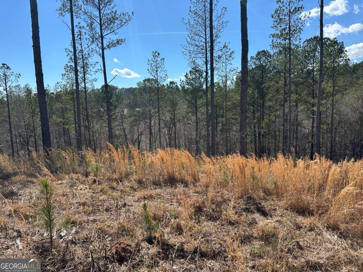 Lot 147 Creekside Crossing Talking Rock, GA 30175 - Photo 28 of 49 a view of a backyard of the house