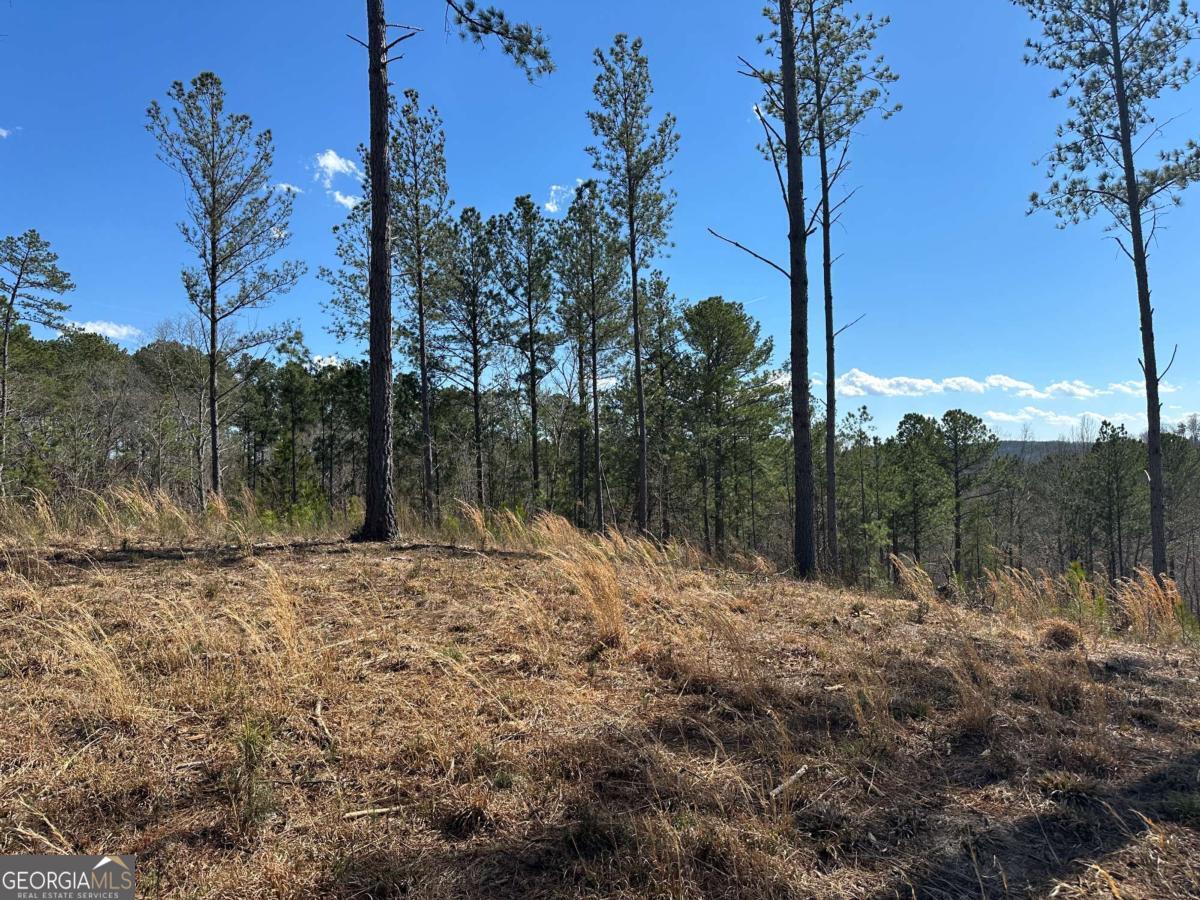 Lot 147 Creekside Crossing Talking Rock, GA 30175 - Photo 30 of 49 a view of a yard