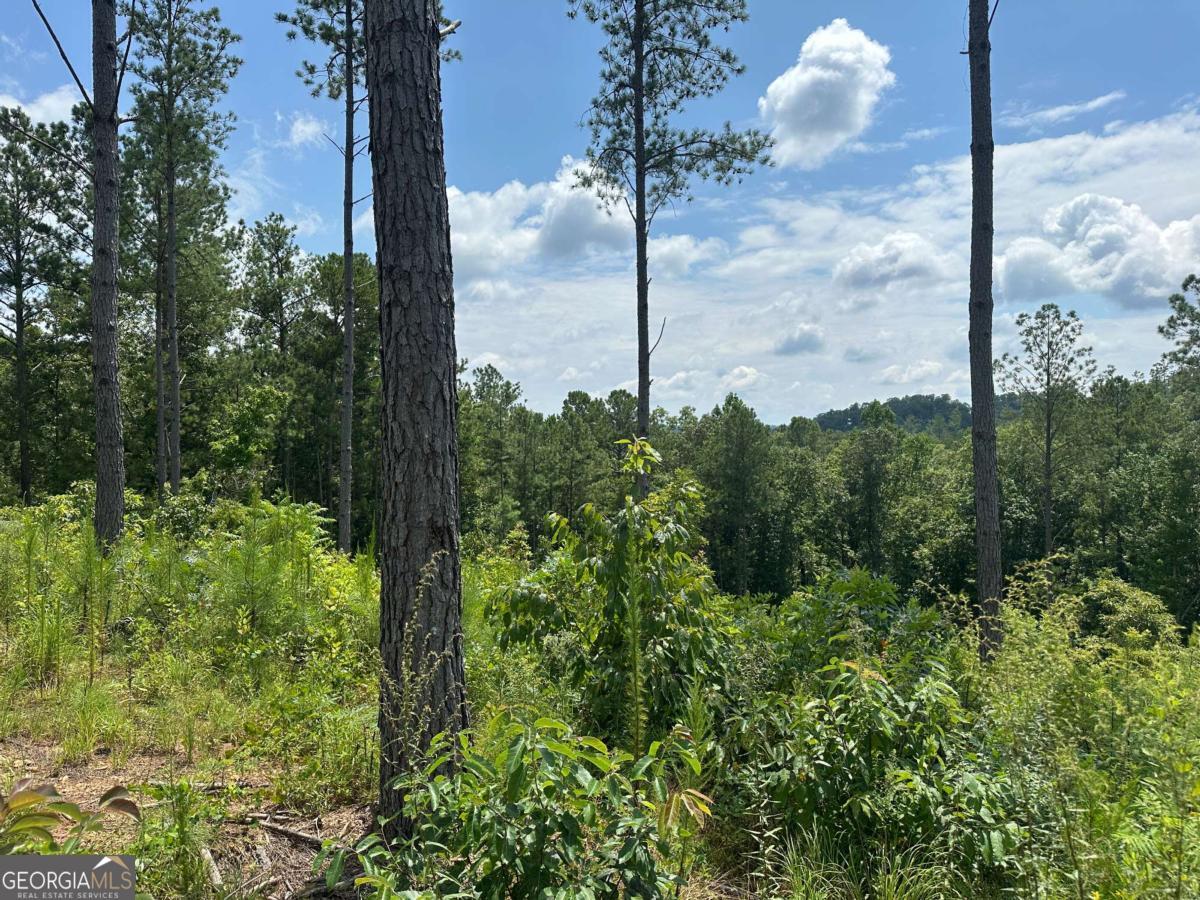 Lot 147 Creekside Crossing Talking Rock, GA 30175 - Photo 3 of 49 a view of a garden
