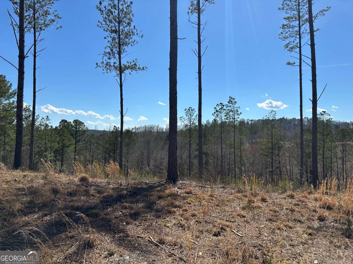 Lot 147 Creekside Crossing Talking Rock, GA 30175 - Photo 31 of 49 a view of a back yard