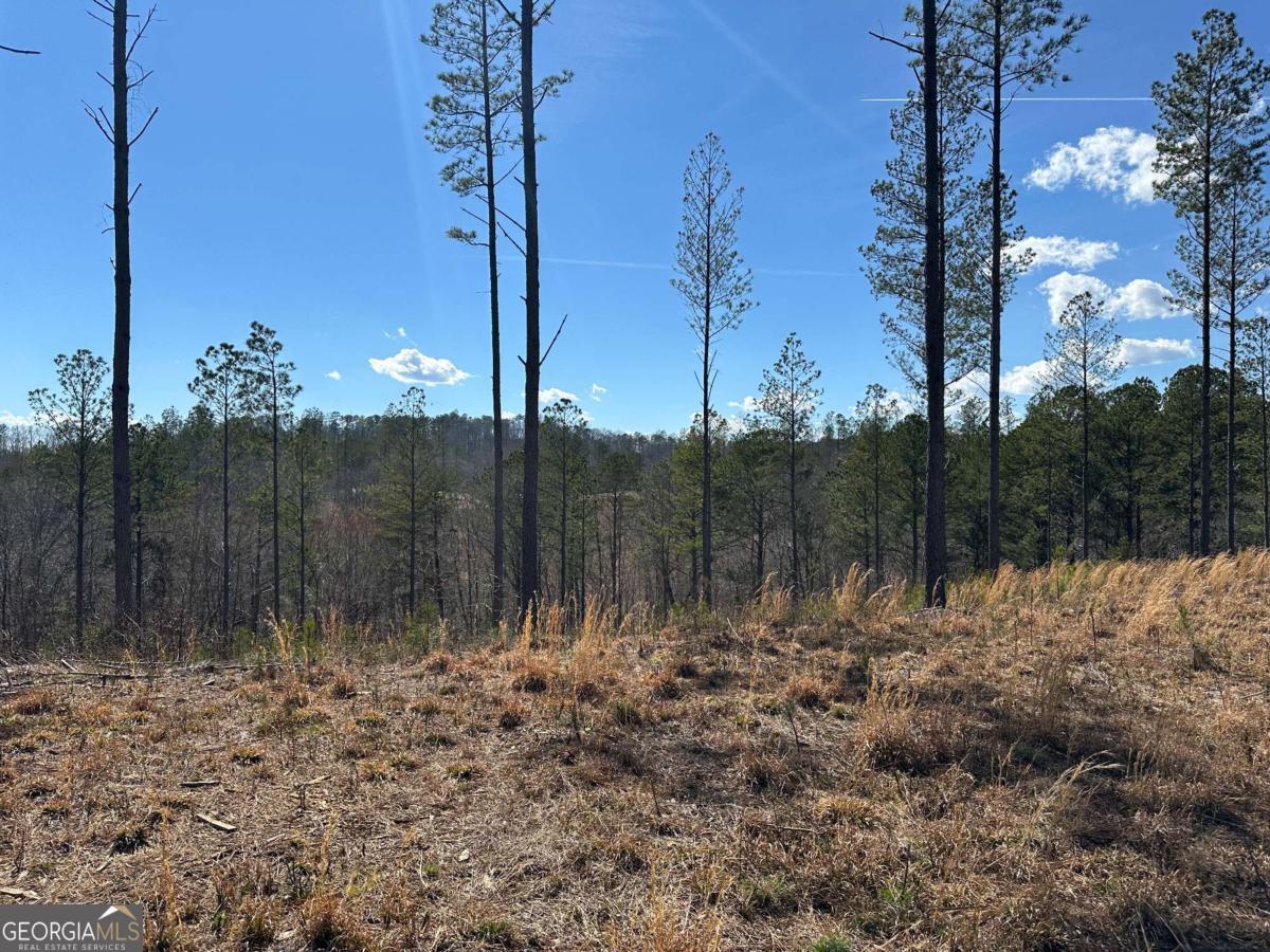 Lot 147 Creekside Crossing Talking Rock, GA 30175 - Photo 32 of 49 a view of a backyard of the house