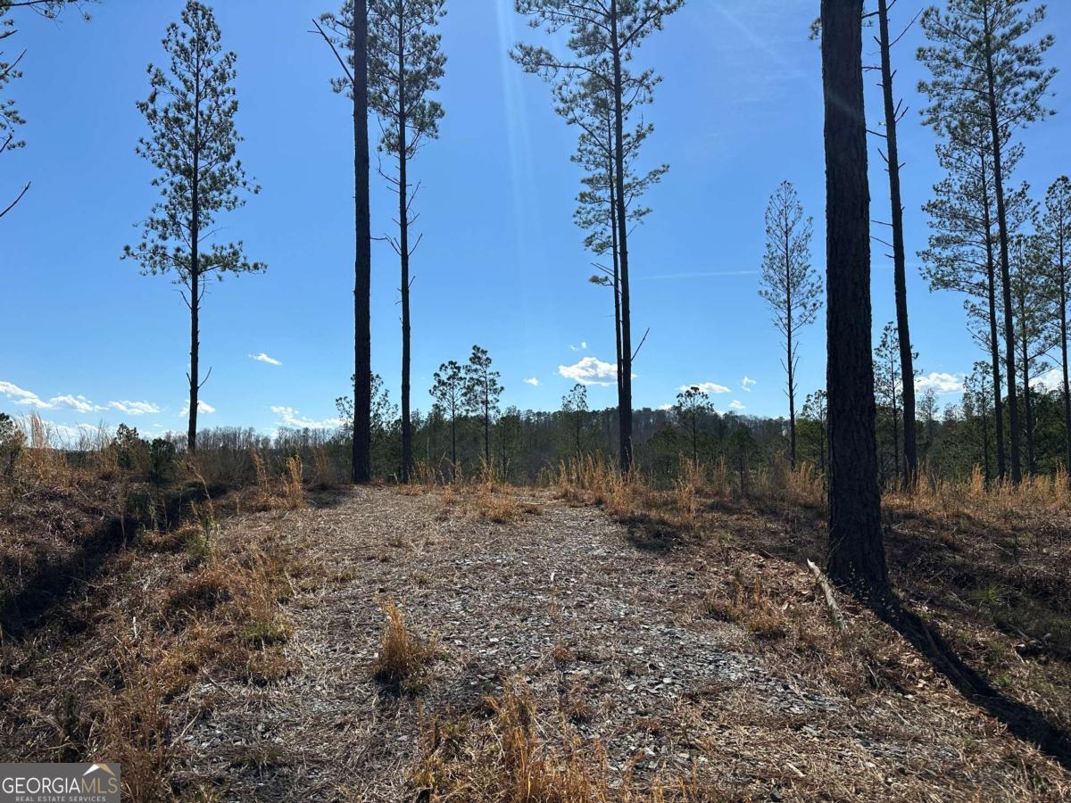 Lot 147 Creekside Crossing Talking Rock, GA 30175 - Photo 34 of 49 a view of a backyard of a house