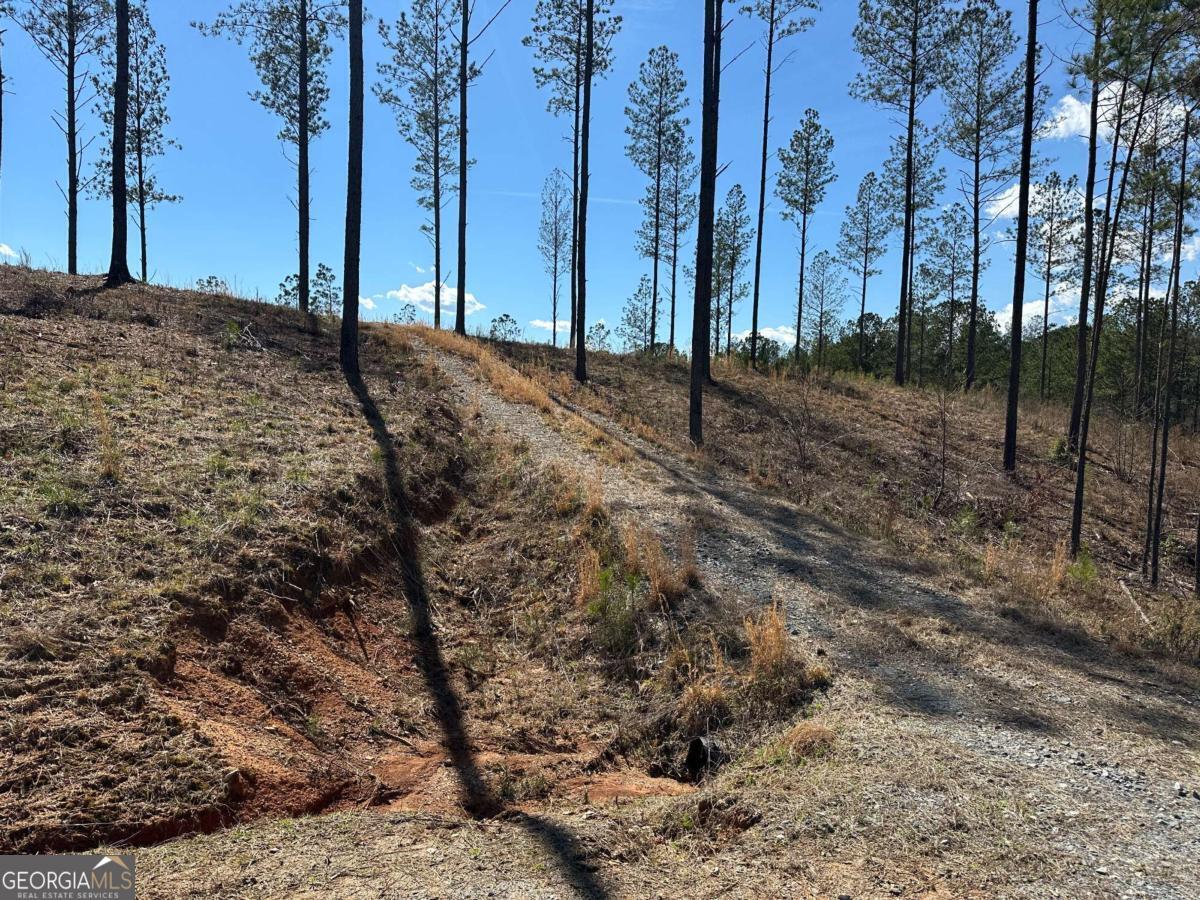 Lot 147 Creekside Crossing Talking Rock, GA 30175 - Photo 35 of 49 a view of a backyard of the house