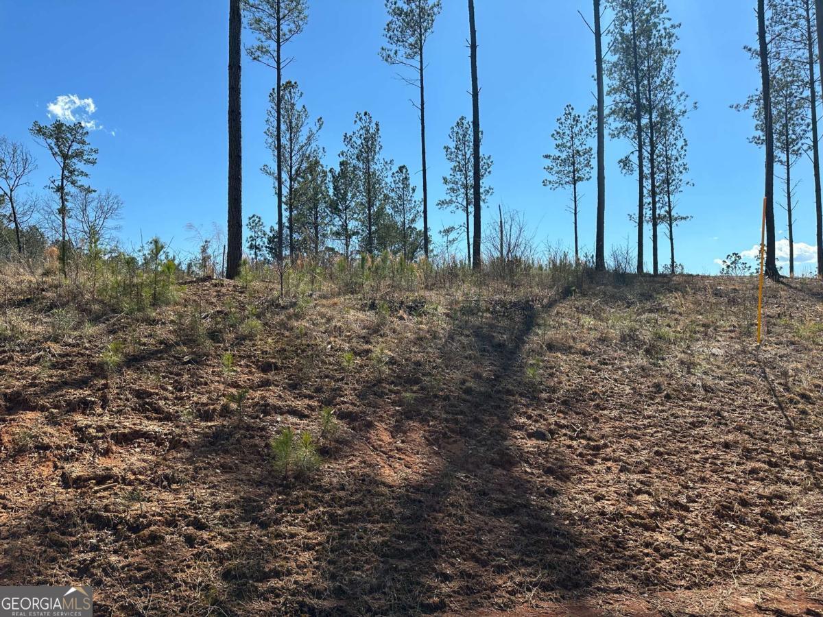 Lot 147 Creekside Crossing Talking Rock, GA 30175 - Photo 36 of 49 a view of a backyard of a house