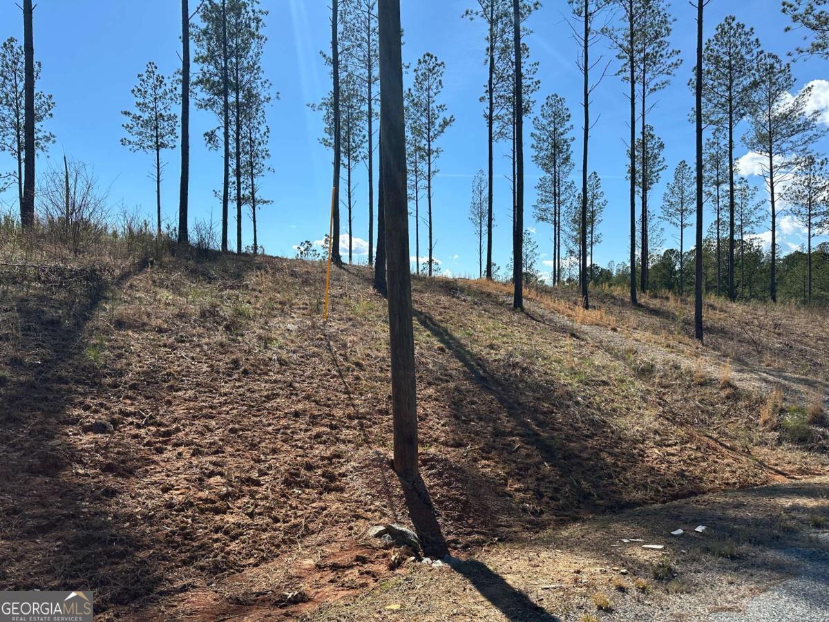 Lot 147 Creekside Crossing Talking Rock, GA 30175 - Photo 37 of 49 a view of a backyard of the house