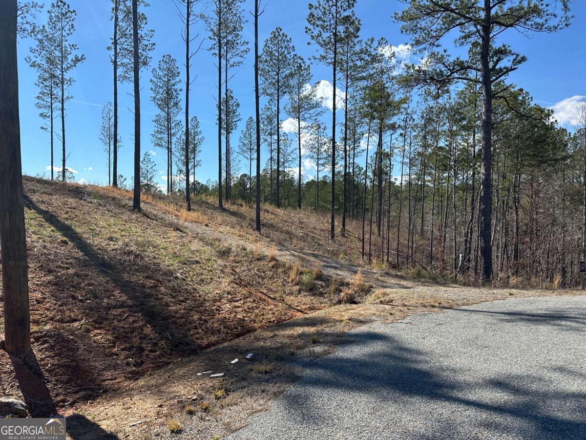 Lot 147 Creekside Crossing Talking Rock, GA 30175 - Photo 39 of 49 a view of a park with large trees