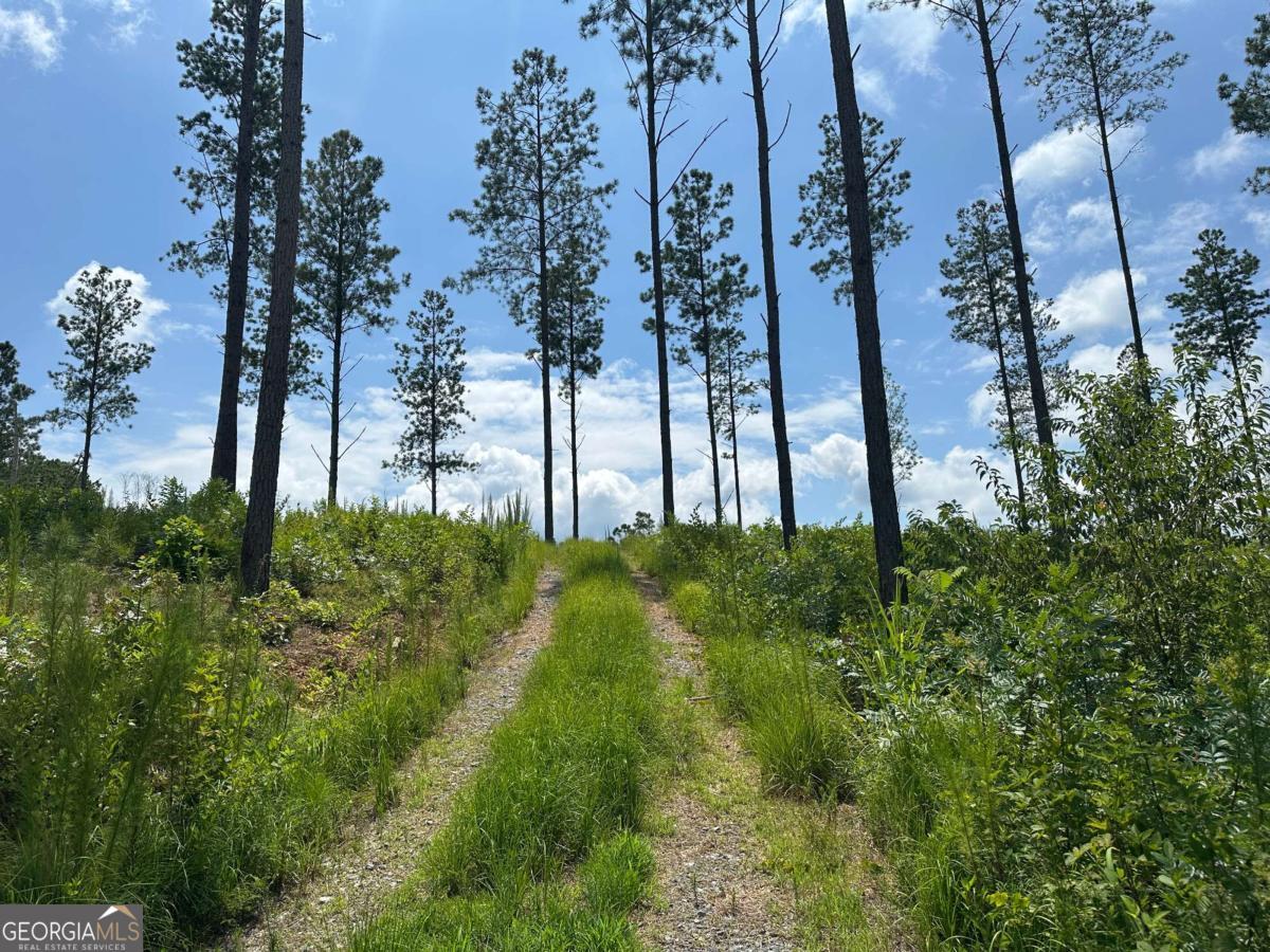 Lot 147 Creekside Crossing Talking Rock, GA 30175 - Photo 5 of 49 a view of outdoor space and garden
