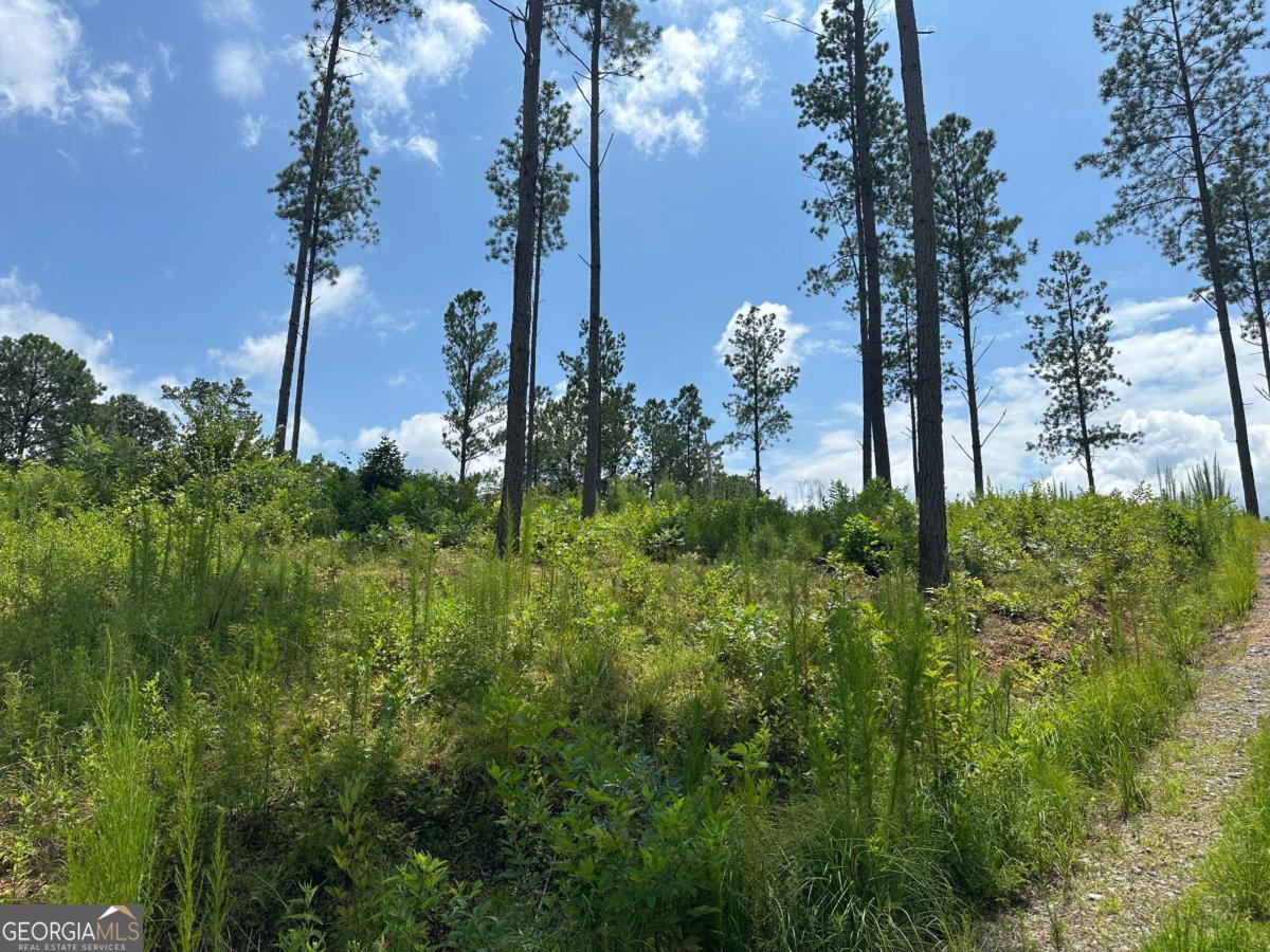 Lot 147 Creekside Crossing Talking Rock, GA 30175 - Photo 6 of 49 a view of a yard in a yard