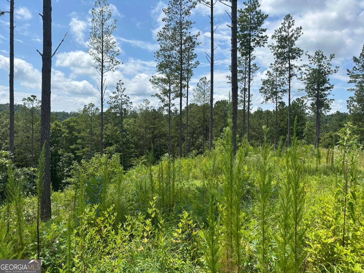Lot 147 Creekside Crossing Talking Rock, GA 30175 - Photo 7 of 49 a view of a garden
