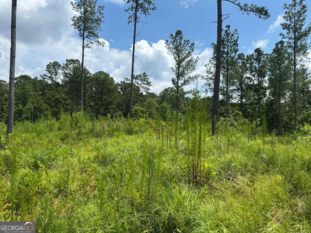 Lot 147 Creekside Crossing Talking Rock, GA 30175 - Photo 8 of 49 a view of a garden