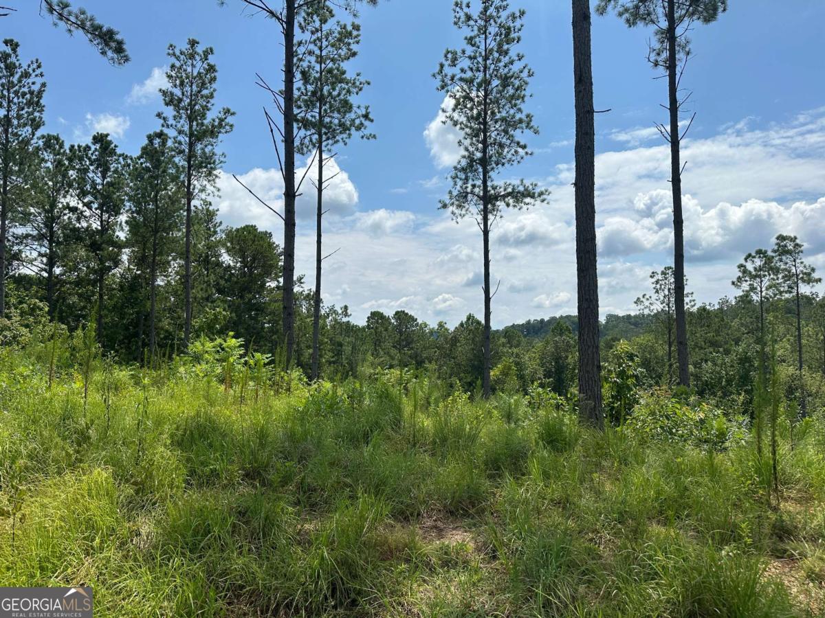Lot 147 Creekside Crossing Talking Rock, GA 30175 - Photo 9 of 49 a view of a garden