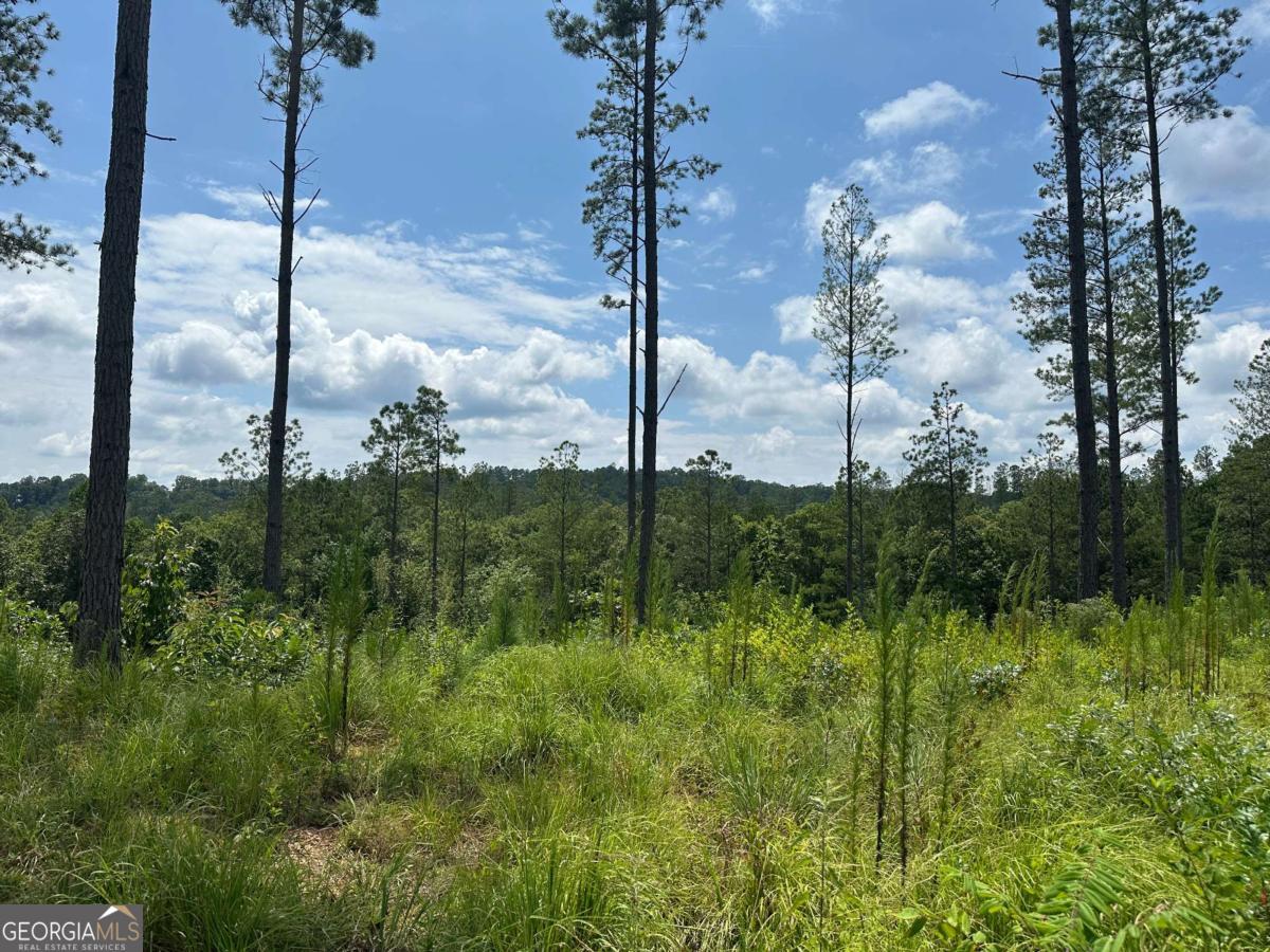 Lot 147 Creekside Crossing Talking Rock, GA 30175 - Photo 10 of 49 a view of a city
