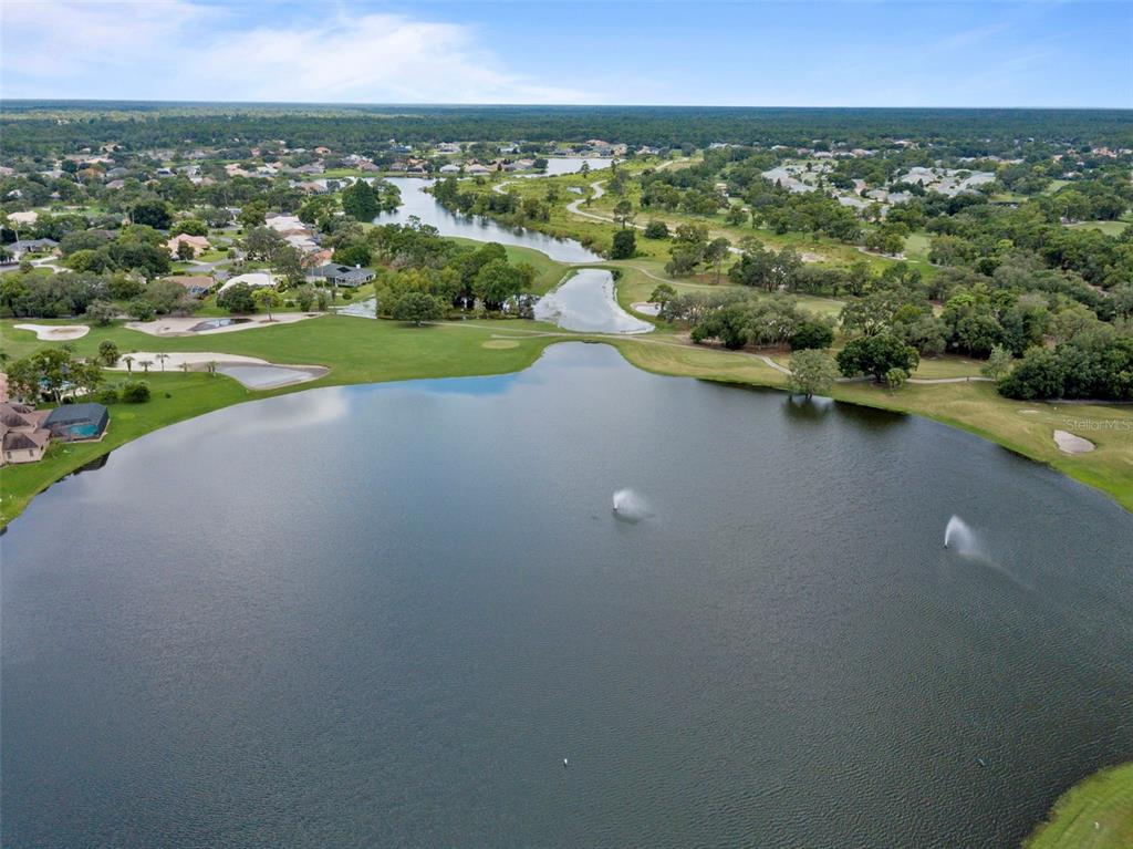10081 Georgetown Court Weeki Wachee, FL 34613 - Photo 70 of 76 an aerial view of a houses with a yard and lake view