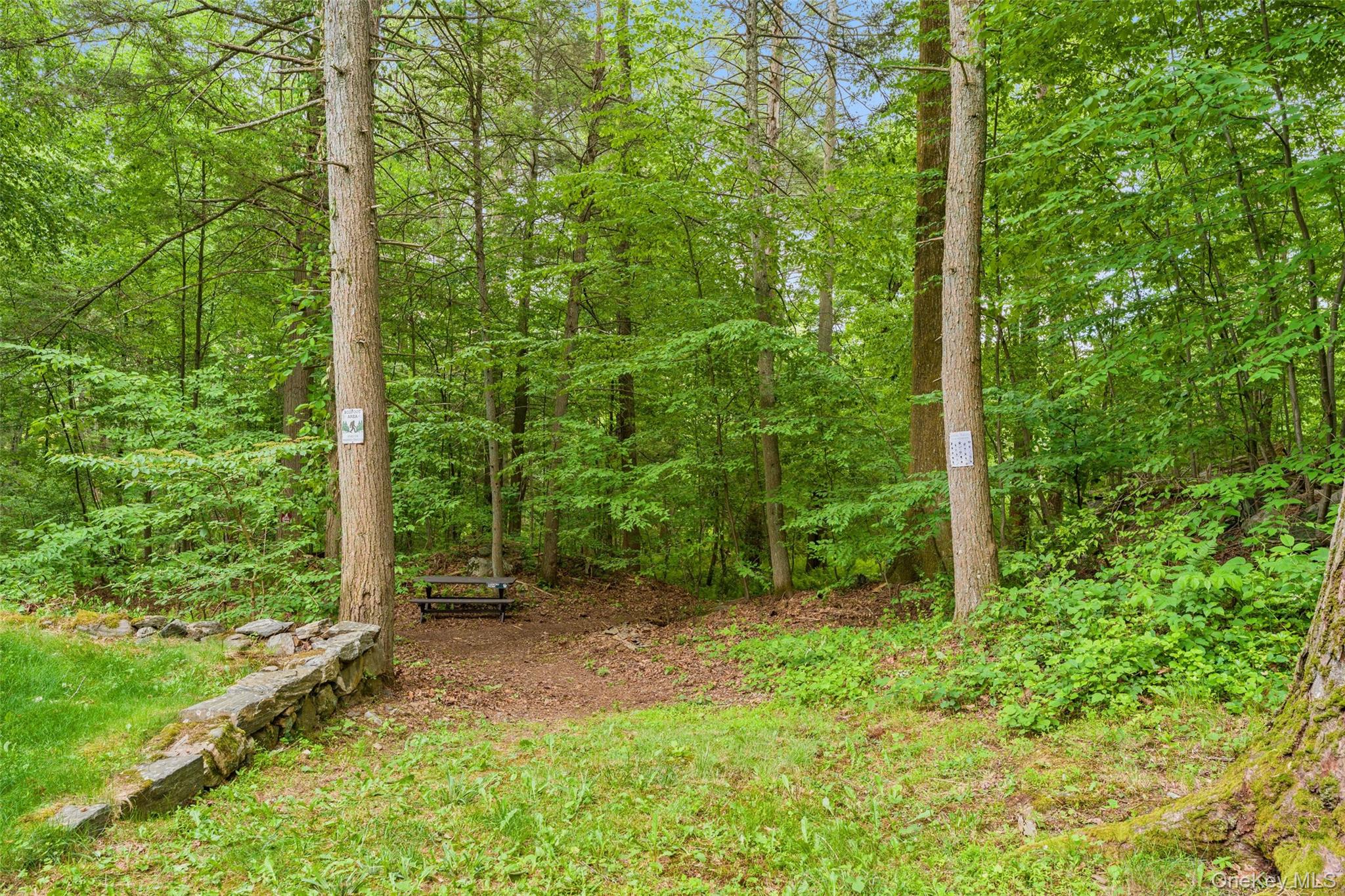 25 Cabin Ridge Road Chappaqua, NY 10514 - Photo 32 of 39