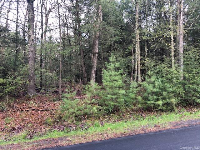 Crawford Road Barryville, NY 12528 - Photo 5 of 8 View of landscape