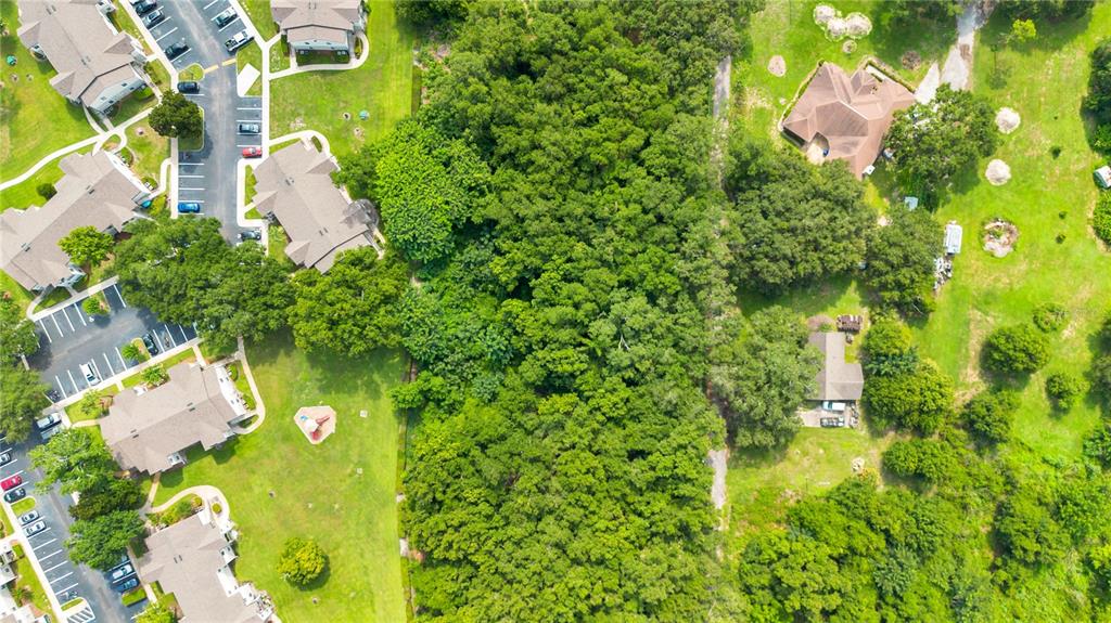 Avalon Road, Unit 53 Winter Garden, FL 34787 - Photo 16 of 24