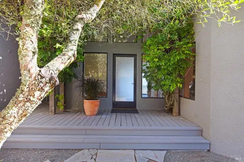 a view of a house with a potted plant and large tree