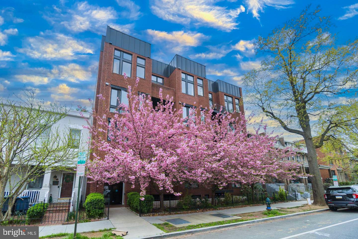 The Building - In Full Bloom
