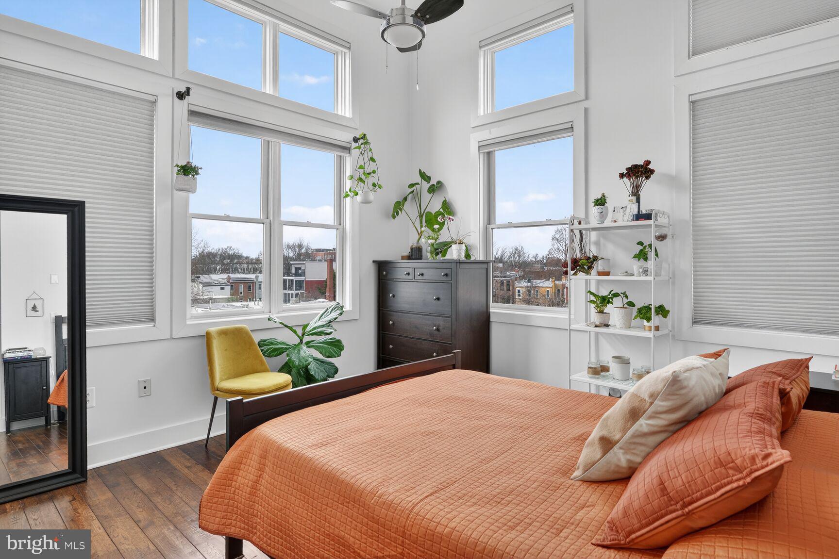 245 15th Street Southeast, Unit 403 Washington, DC 20003 - Photo 12 of 24 Primary Bedroom - High Ceiling and Tons of Light