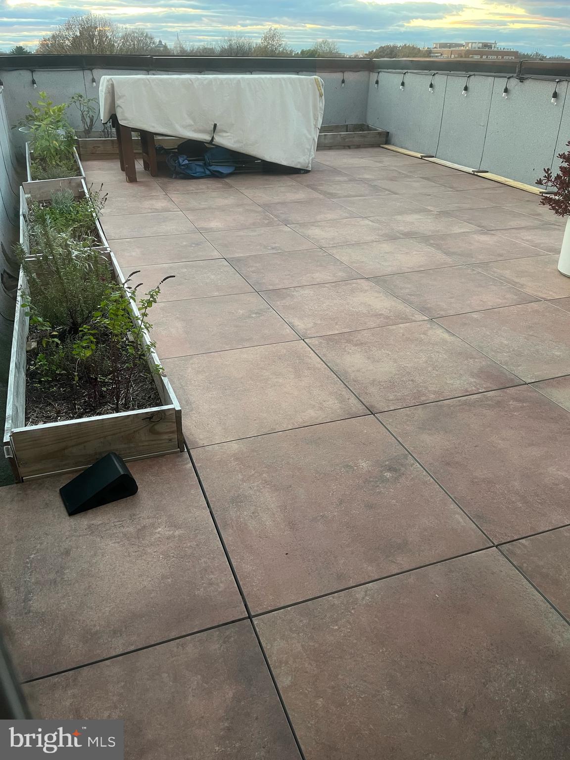 245 15th Street Southeast, Unit 403 Washington, DC 20003 - Photo 19 of 24 Private Roof Deck