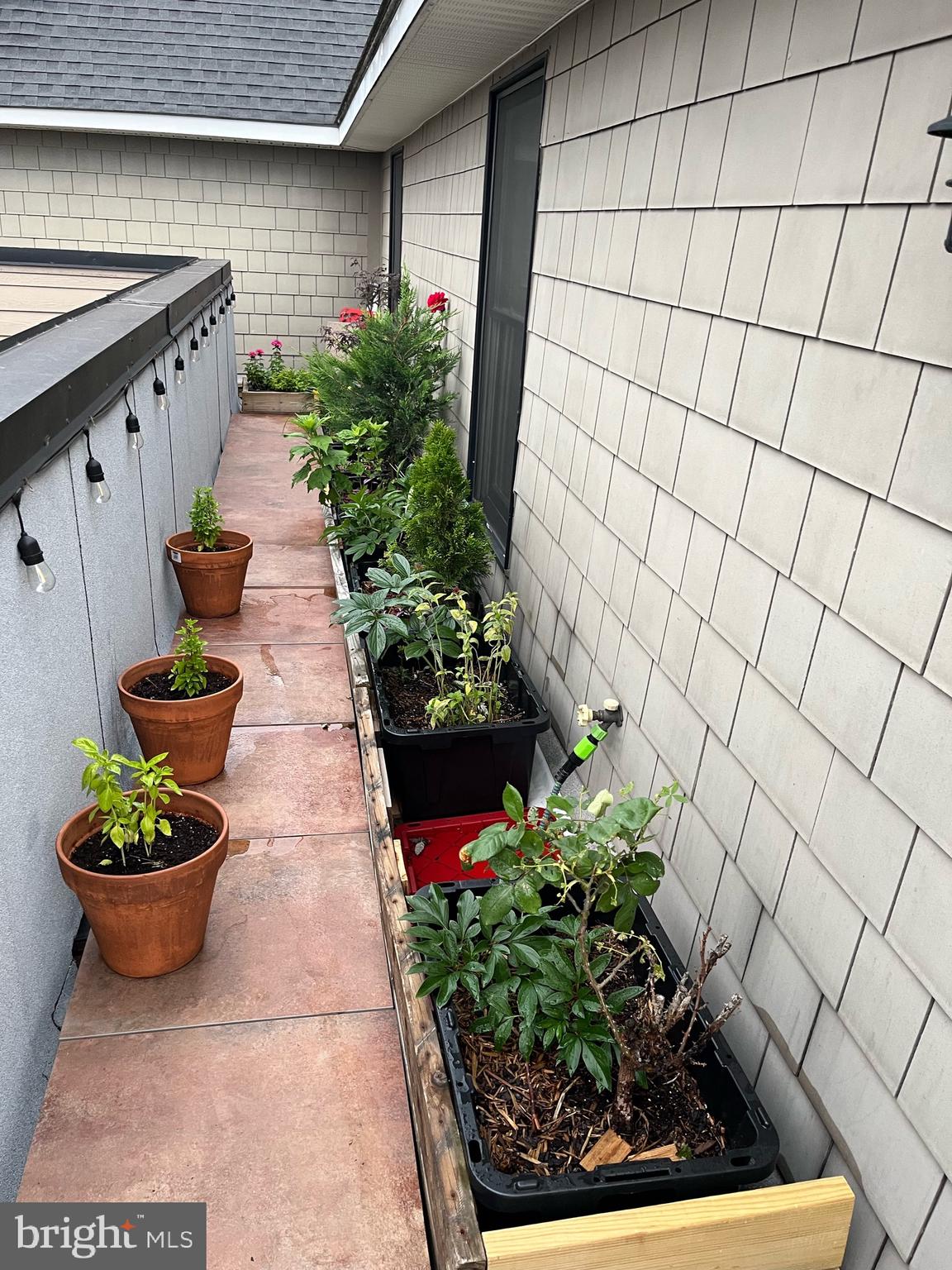 245 15th Street Southeast, Unit 403 Washington, DC 20003 - Photo 20 of 24 Private Roof Deck