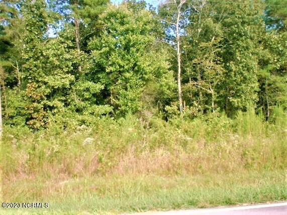 8291 Erect Road Seagrove, NC 27341 - Photo 2 of 7 Front2