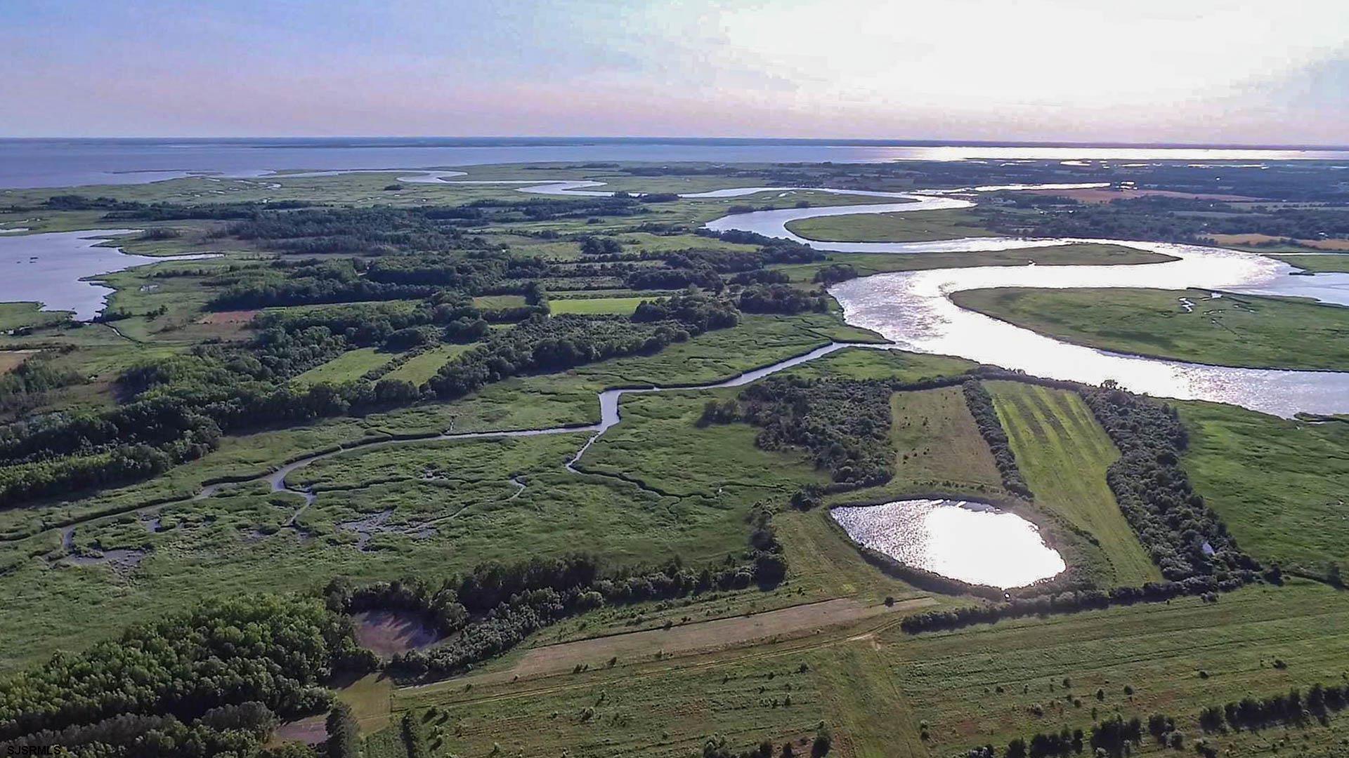 806 Back Neck Road Bridgeton, NJ 08302 - Photo 13 of 99