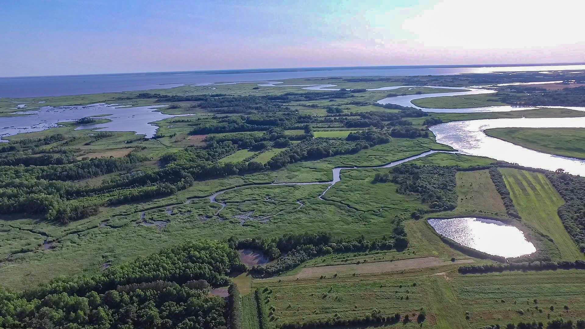 806 Back Neck Road Bridgeton, NJ 08302 - Photo 14 of 98