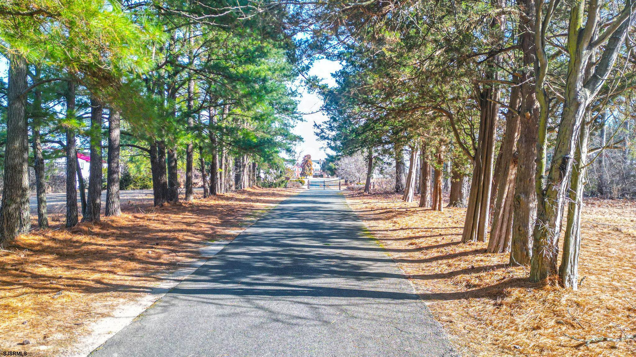 806 Back Neck Road Bridgeton, NJ 08302 - Photo 20 of 99