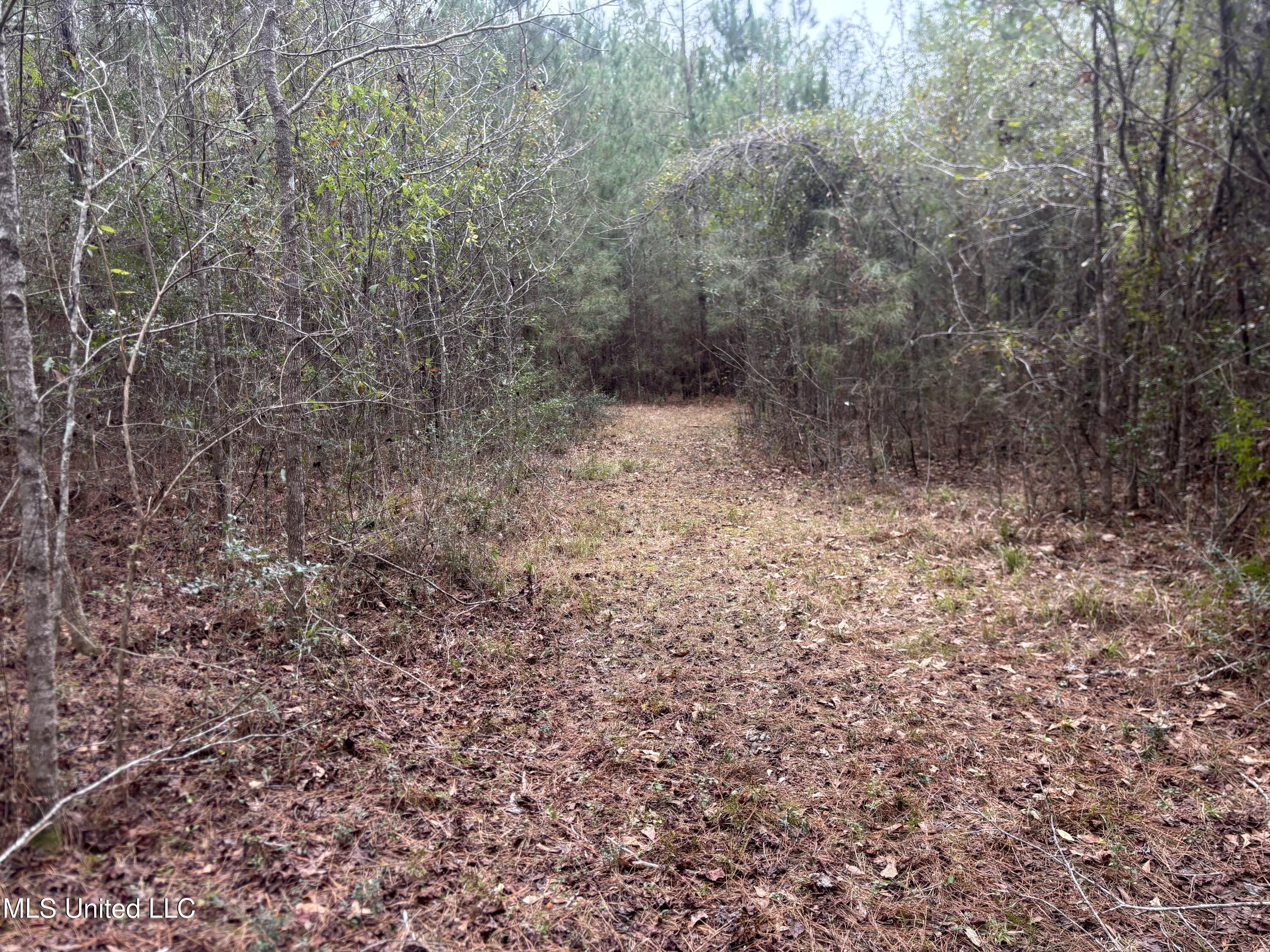 0 Magnolia Progress Road Magnolia, MS 39652 - Photo 14 of 30 IMG_2481