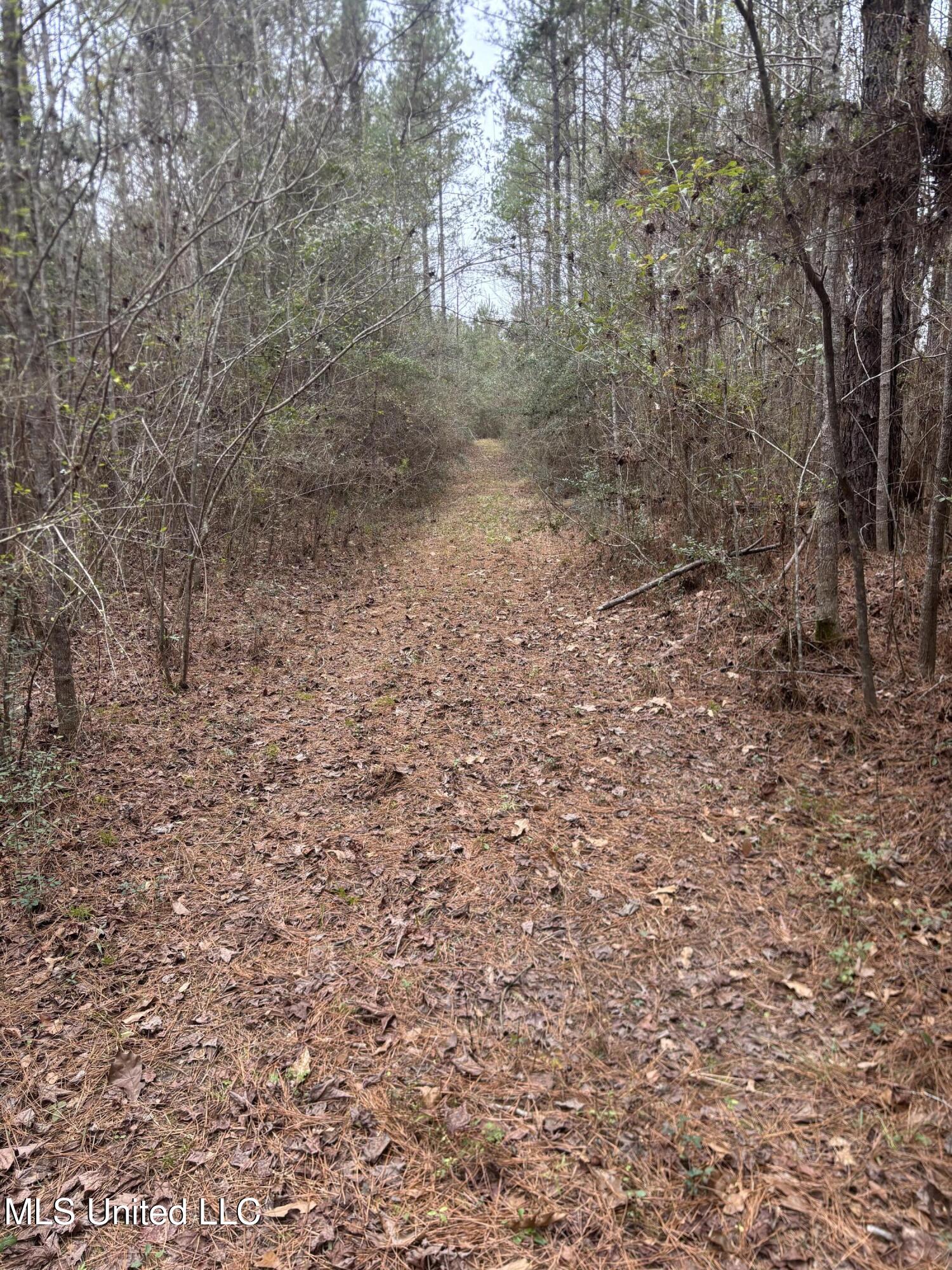 0 Magnolia Progress Road Magnolia, MS 39652 - Photo 18 of 30 IMG_2476