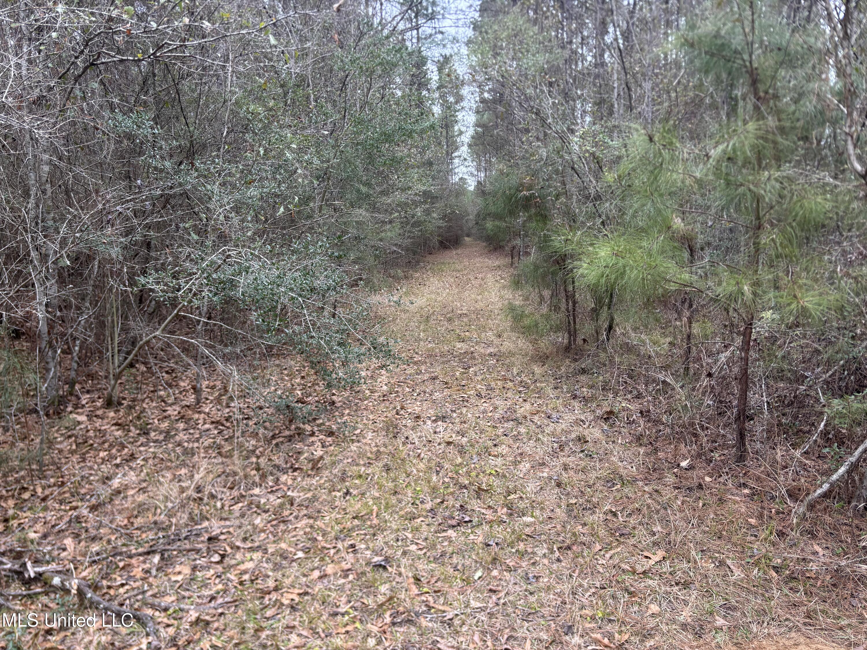 0 Magnolia Progress Road Magnolia, MS 39652 - Photo 19 of 30 IMG_2474