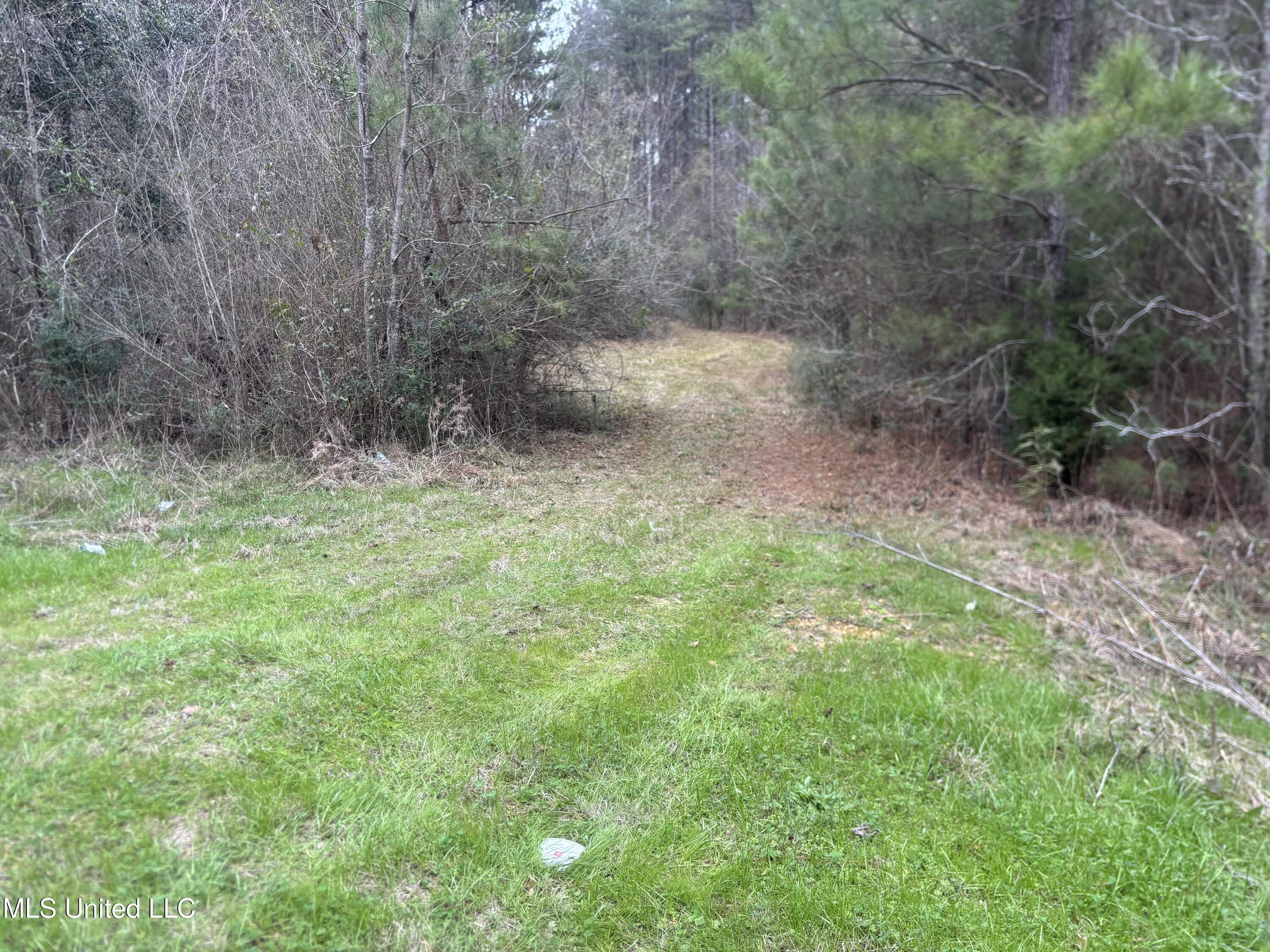 0 Magnolia Progress Road Magnolia, MS 39652 - Photo 2 of 30 IMG_2492