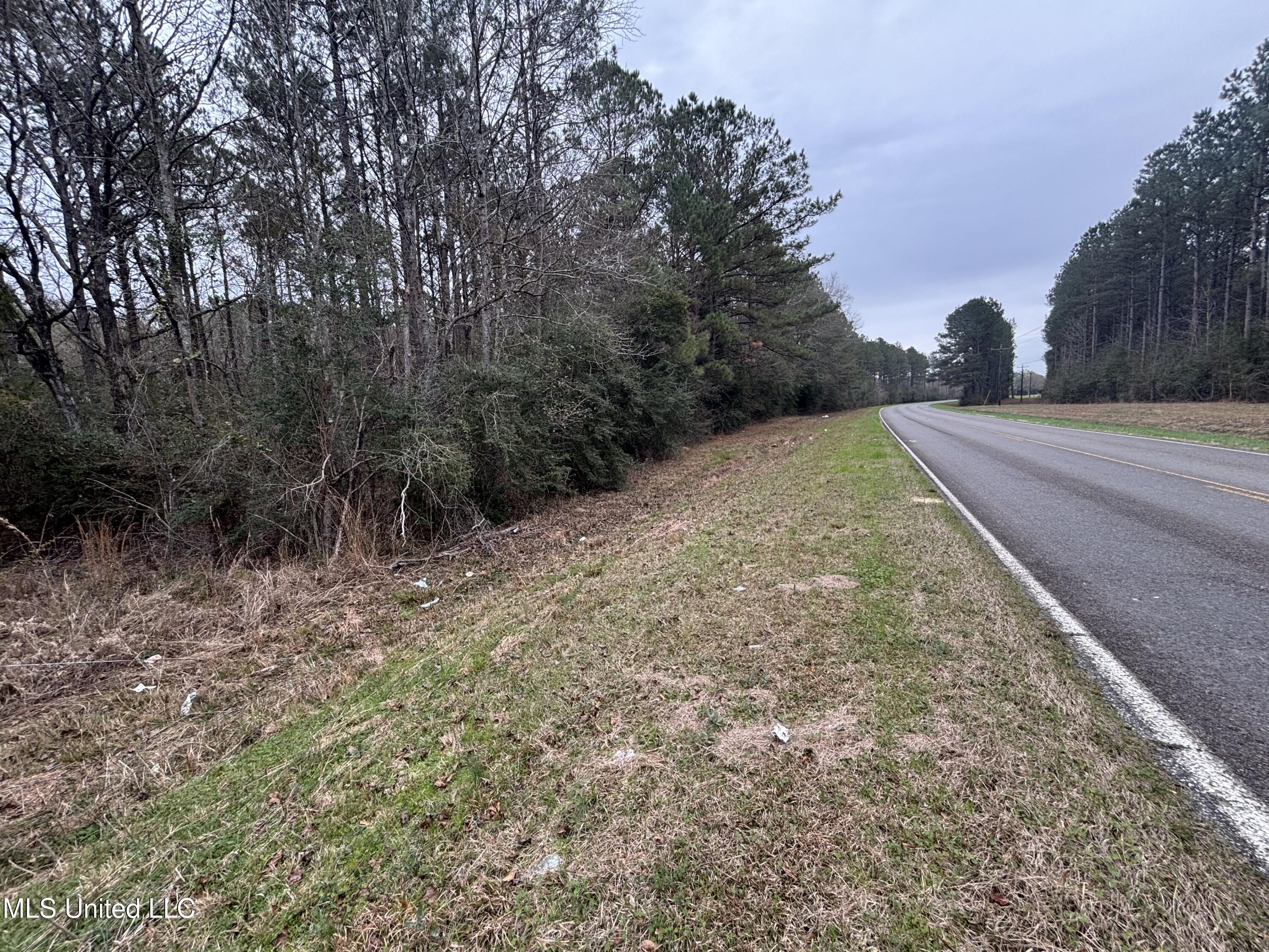 0 Magnolia Progress Road Magnolia, MS 39652 - Photo 3 of 30 IMG_2491