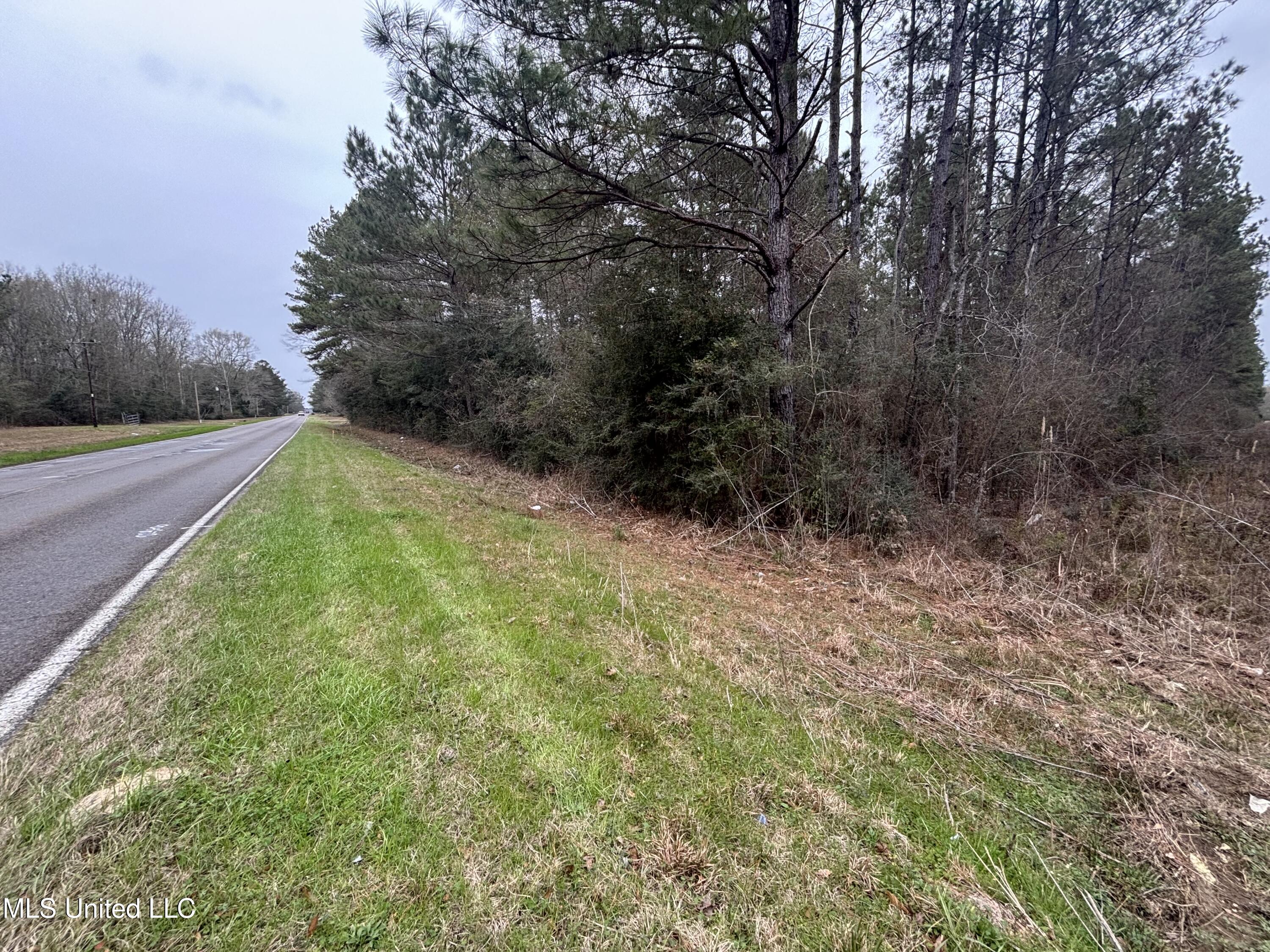 0 Magnolia Progress Road Magnolia, MS 39652 - Photo 4 of 30 IMG_2490